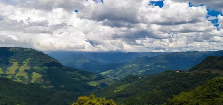 Devastação da Mata Atlântica cresce na Bahia e em quatro estados do país, aponta levantamento