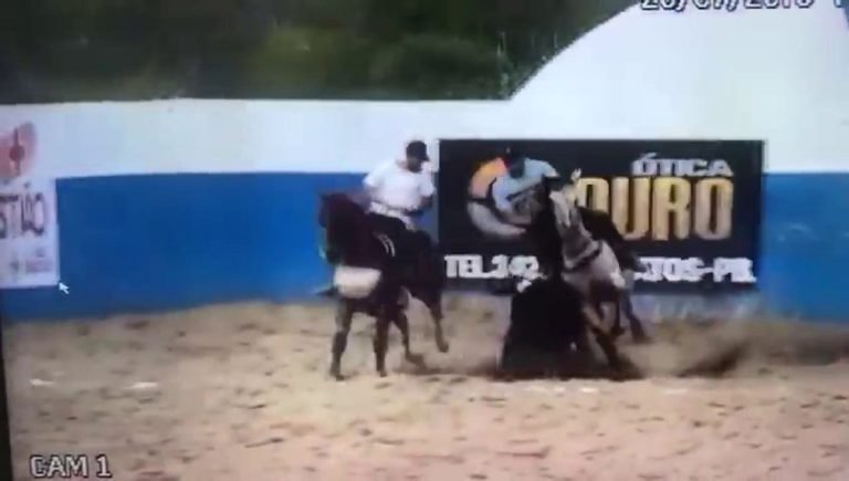 Empresário morre após cair de cavalo durante vaquejada; veja vídeo