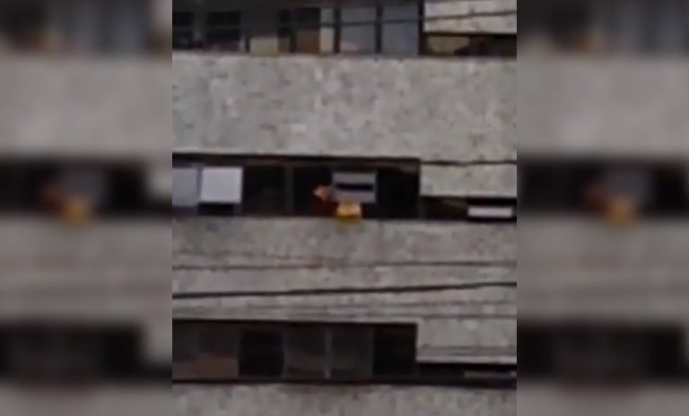 Vídeo: funcionário se arrisca para limpar janelas em bairro nobre de Salvador