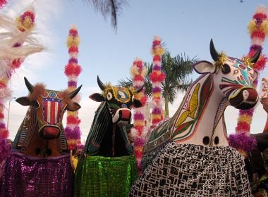 Bumba meu boi pode ter título de Patrimônio Cultural da Humanidade