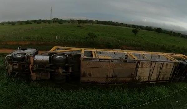 Vídeo: Caminhão “cegonha” tomba na BR 116 e deixa motorista ferido; onze veículos ficaram danificados