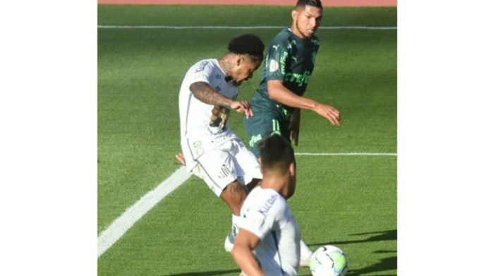 Briga entre torcedores do Palmeiras e Santos termina com dois mortos
