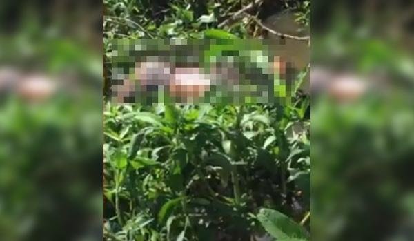 Três corpos são encontrados boiando no Rio Cachoeira, em Itabuna