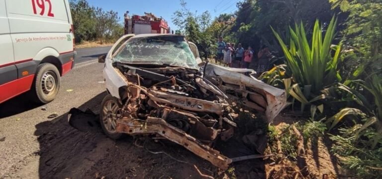 Acidente deixa duas pessoas mortas na BR-020, no oeste da Bahia