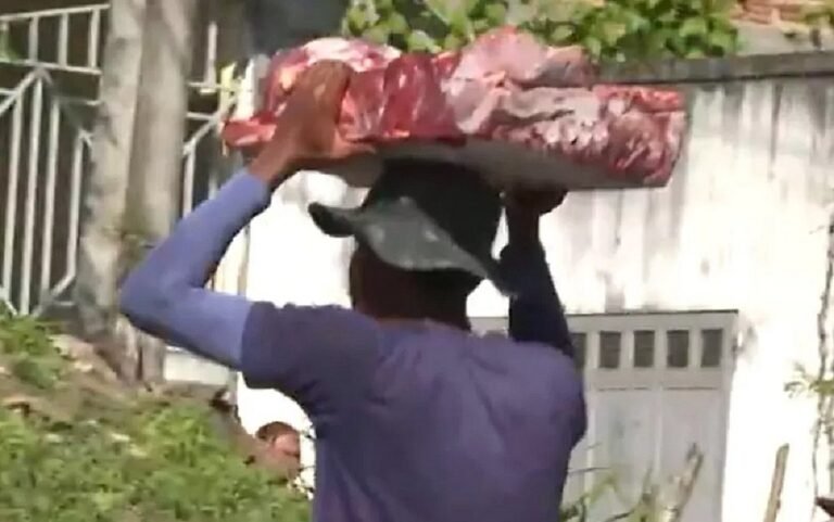 25 mil quilos de carne são saqueados após carreta tombar no sul da Bahia