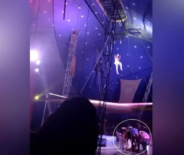 Vídeo: Trapezista cai de mais de 3 metros ao se apresentar em estreia de circo no Ceará