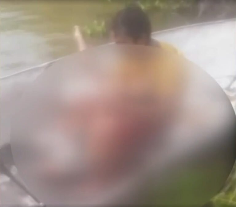 Criança indígena morre após ataque de jacaré no Pará