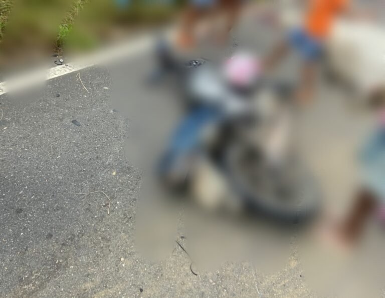 Amargosa: motociclista morre após colidir contra animal na pista
