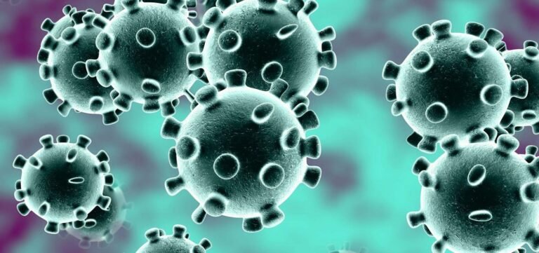 OMS confirma surto de uma das doenças mais letais do mundo, causada pelo vírus de Marburg