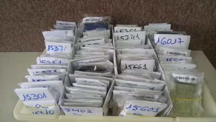 Polícia Militar recupera 567 documentos perdidos na folia