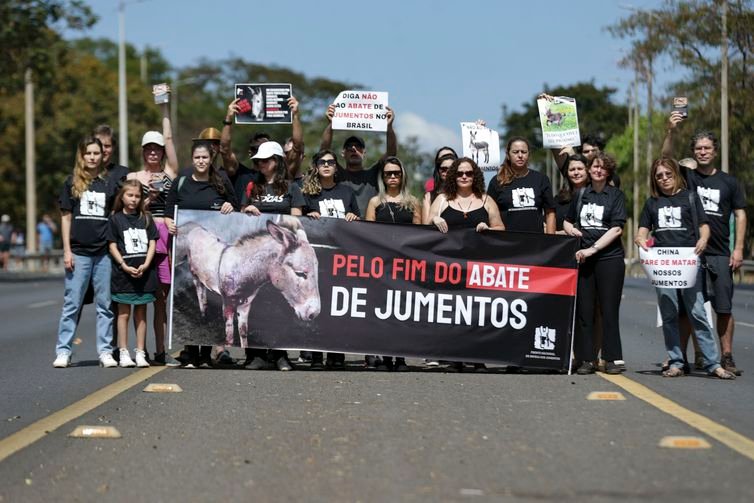 Manifestantes pedem o fim da permissão do abate de jumentos no Brasil