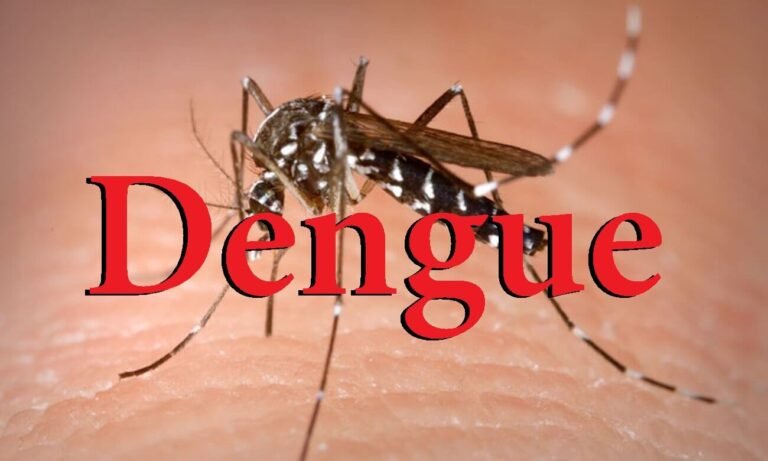 A dengue voltou! Entenda a diferença entre: Surto, Epidemia, Pandemia e Endemia e quais se aplicam no cenário da dengue no Brasil