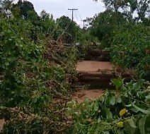 Temporal derruba várias árvores próximo a Corta-Mão e deixa estrada interditada