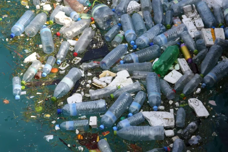 Pesquisa aponta dados alarmantes sobre uso do plástico no Brasil