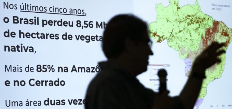 Brasil já perdeu 33% das áreas naturais de seu território, aponta pesquisa